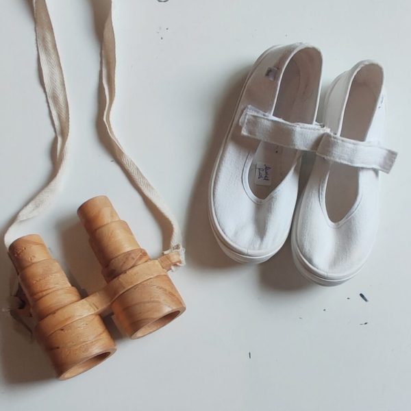 Guillerminas mimo T31