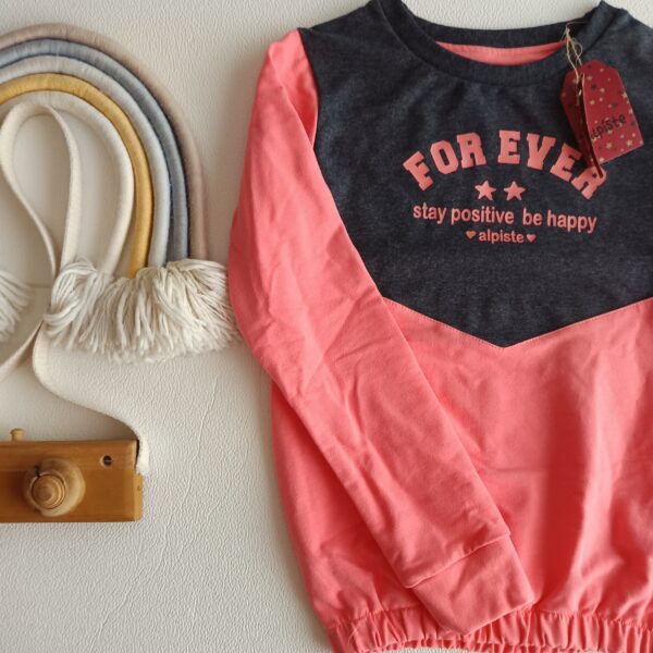 Buzo Alpiste T12 (nuevo)