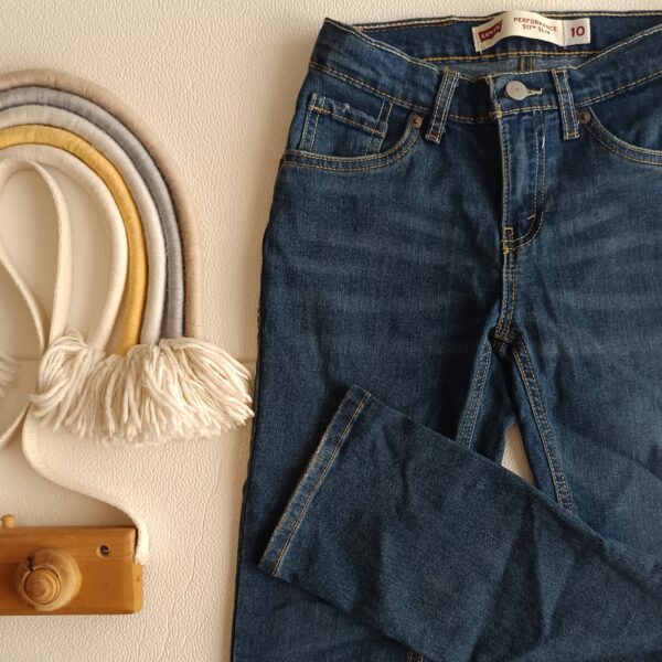 Jean Levis T10